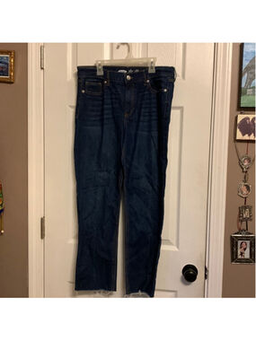 Old navy the power jean 10